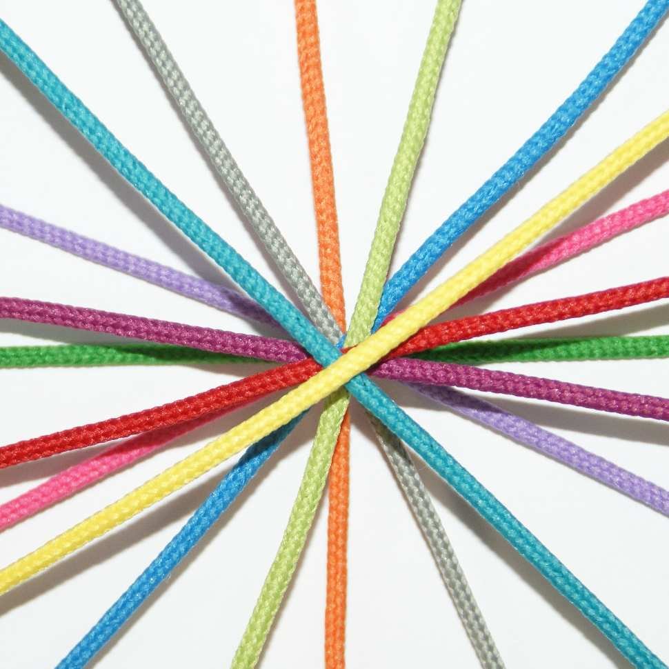 Leather Goods Industry Section Ribbons & cords